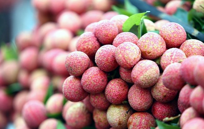 Bà bầu có nên ăn quả vải, sấu, trám, bòn bon không?