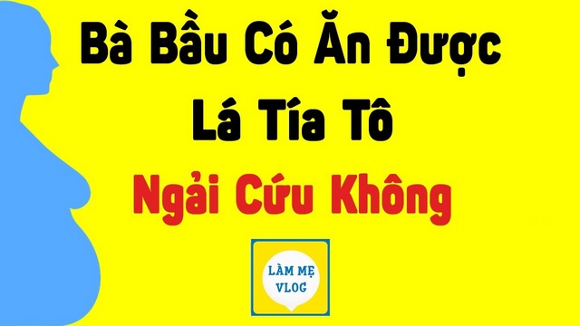 Bà bầu có ăn được lá tía tô, ngải cứu? Sử dụng đúng cách?