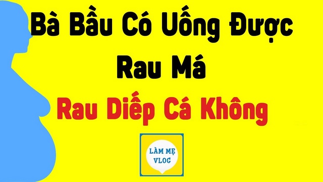 Bà bầu có uống được rau má, rau diếp cá không?